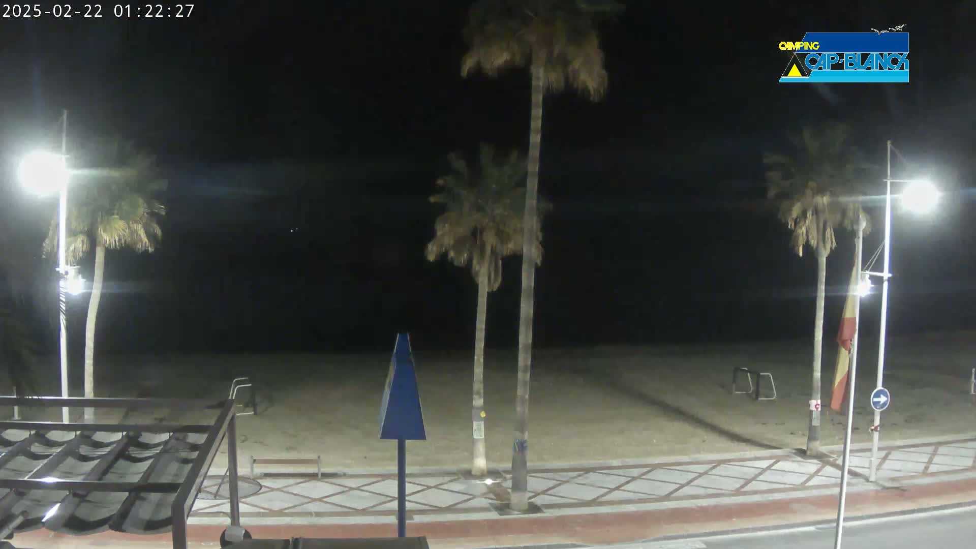 A nighttime view of a beach with palm trees, streetlights, and a paved walkway.