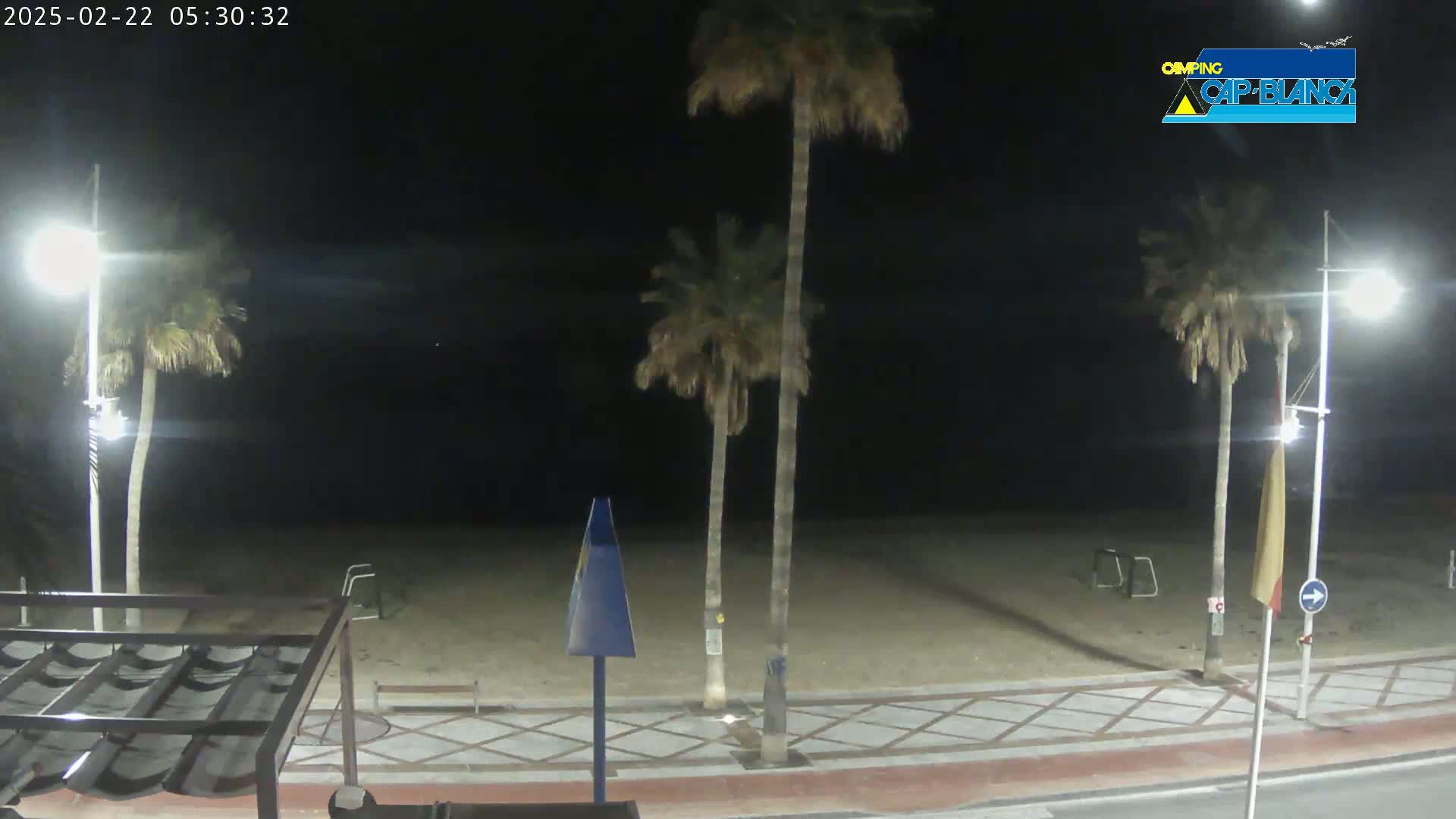 A nighttime view of a sandy beach with palm trees and streetlights along a paved walkway.