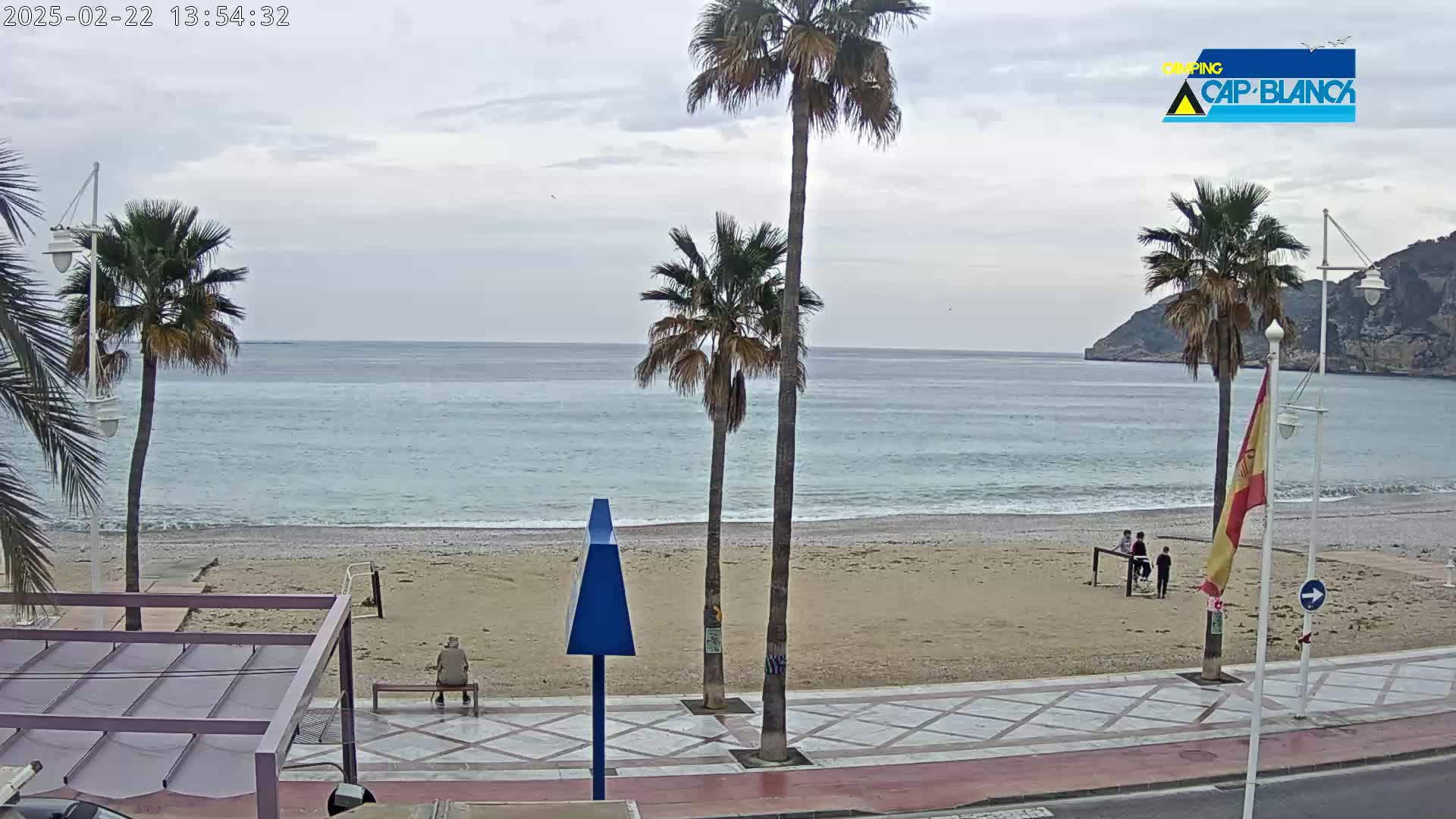 A sandy beach with palm trees and a calm, overcast ocean is viewed from a seaside promenade.