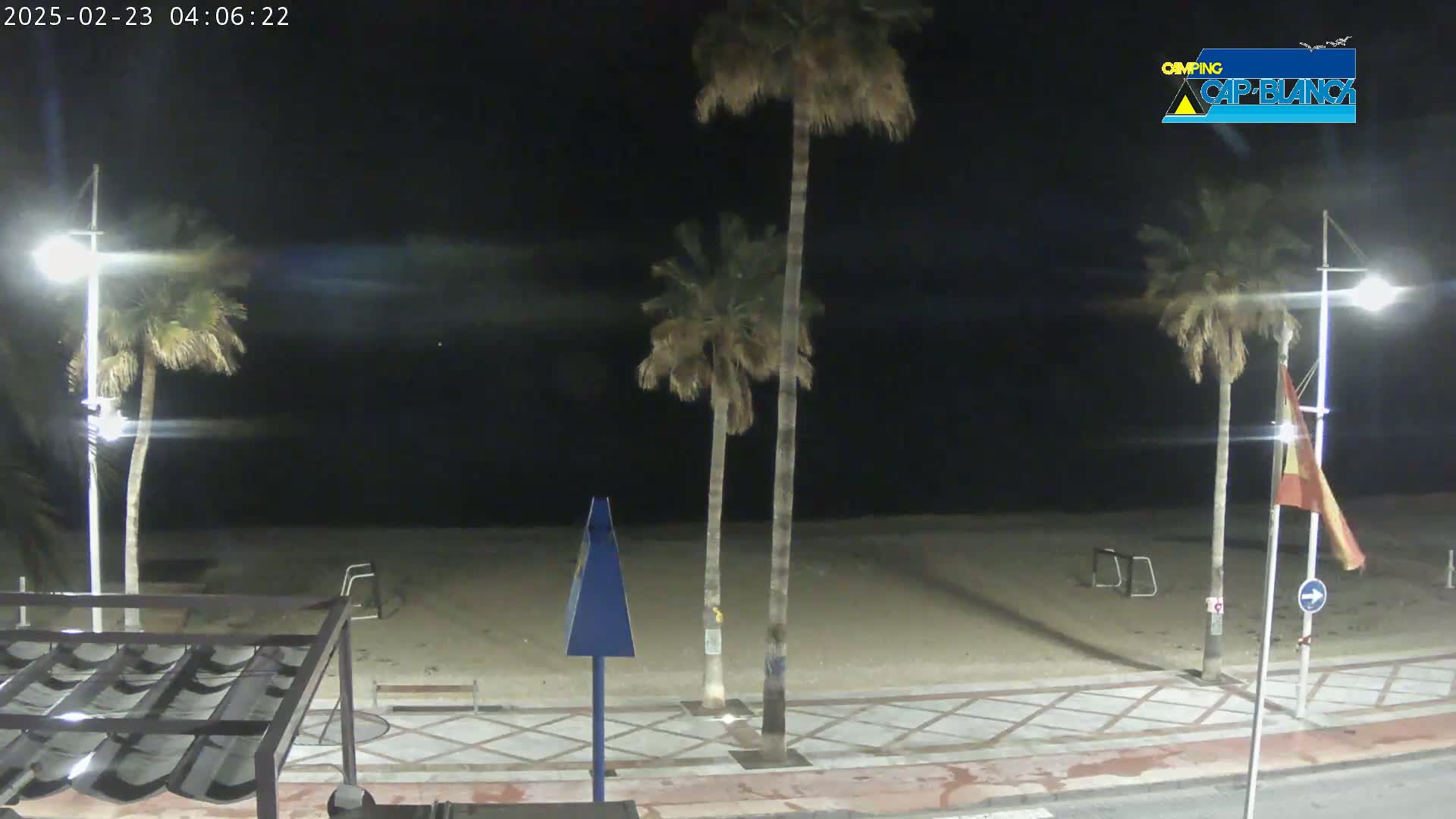 A nighttime view of a sandy beach with palm trees and streetlights, under a clear, dark sky.