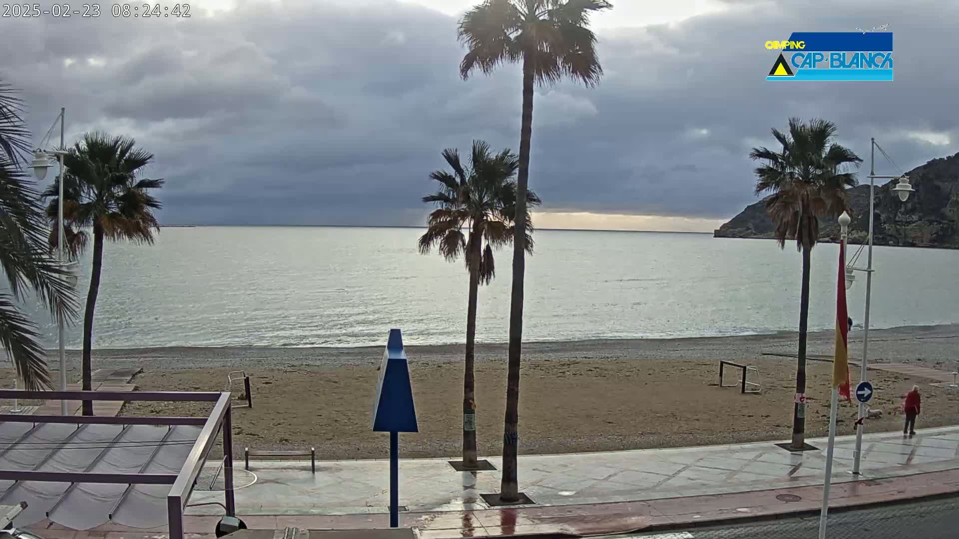 A mostly cloudy day reveals a beach with palm trees, a promenade, and calm ocean water.