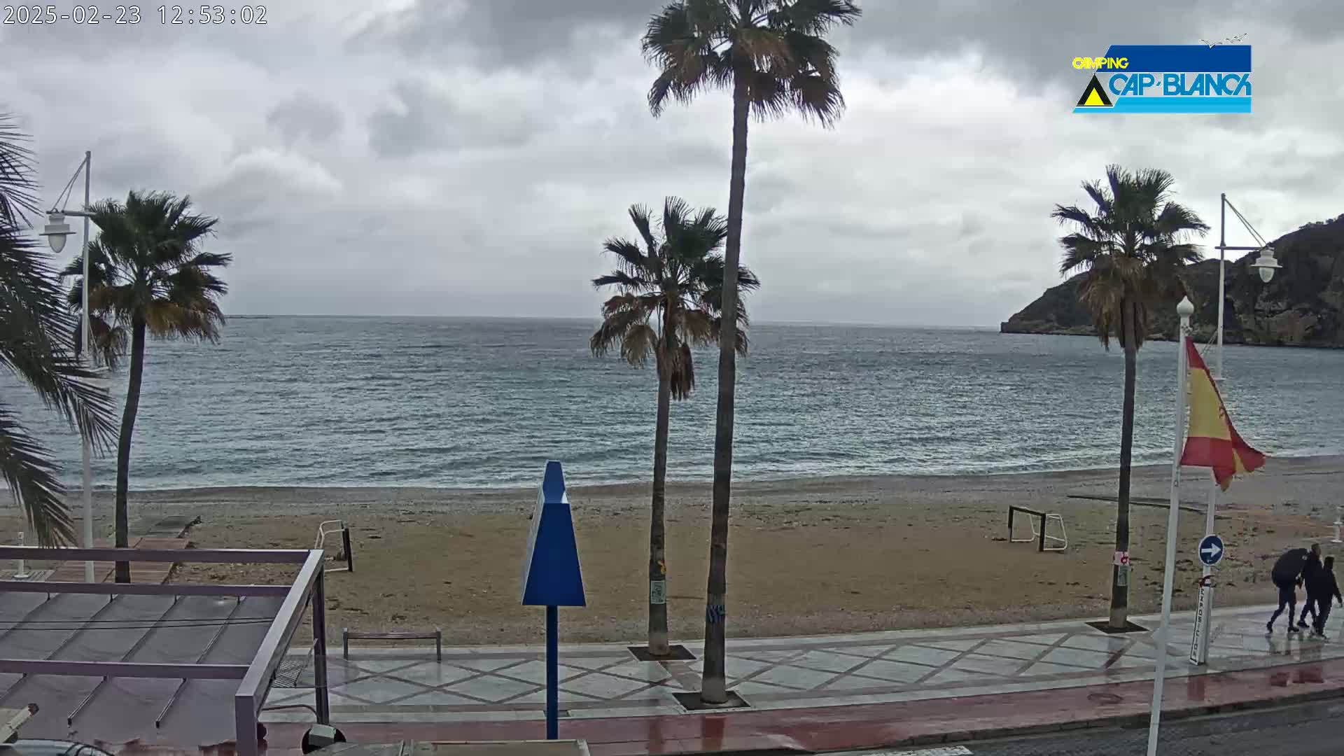 A sandy beach with palm trees and a calm, gray sea under an overcast sky.