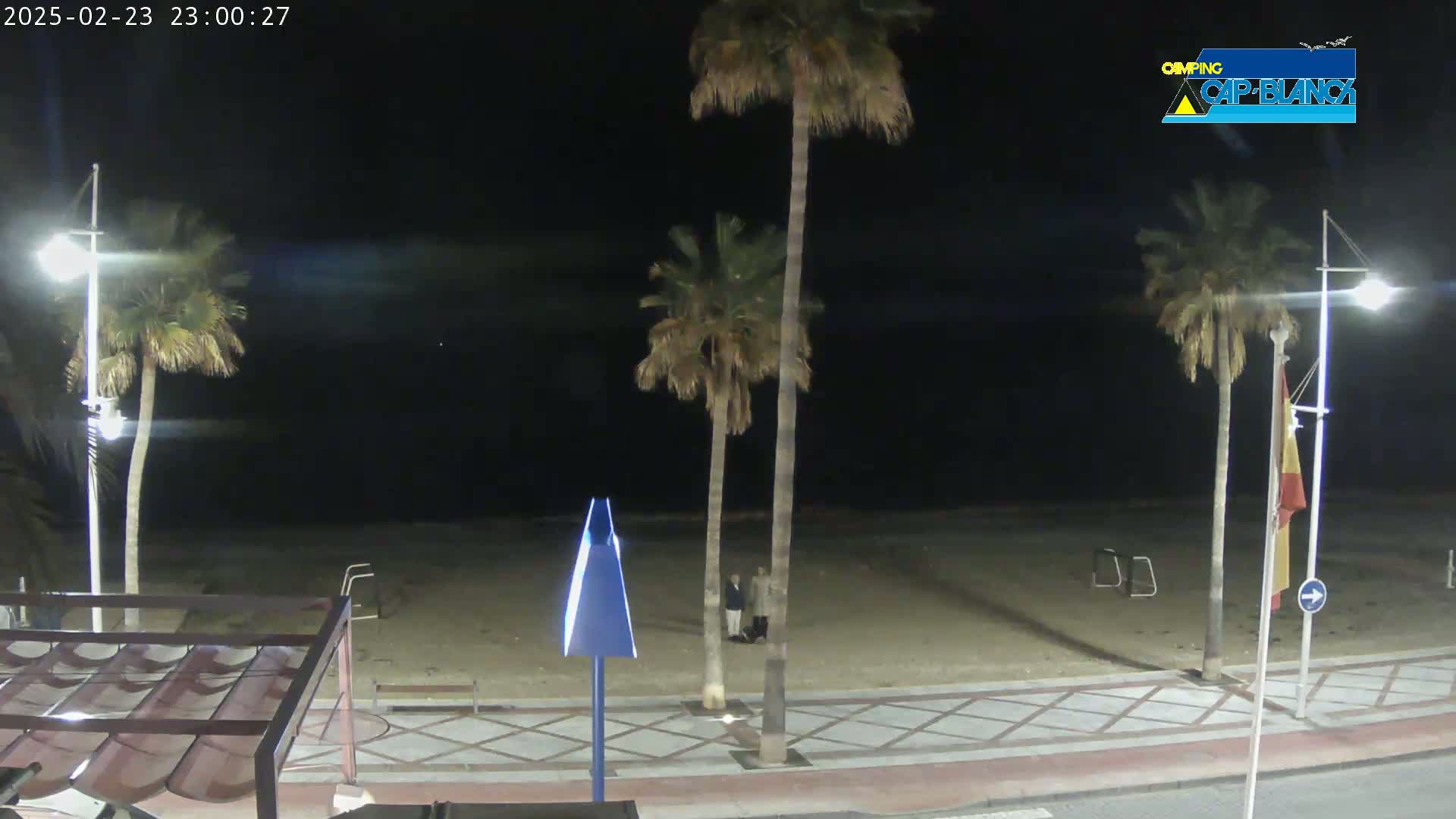 A nighttime view of a sandy beach with palm trees and two people standing near the water's edge under a dark sky.