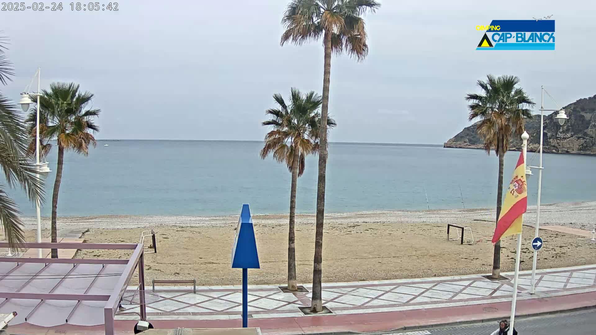 A sandy beach with palm trees and a calm, light blue sea under an overcast sky is viewed from a boardwalk.
