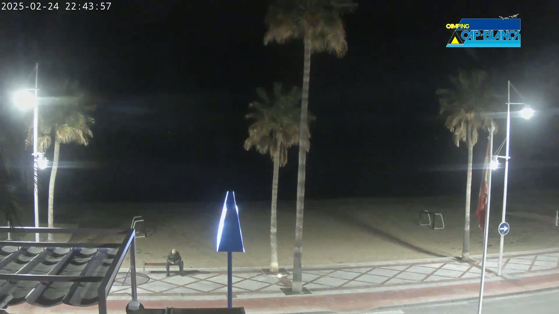 A nighttime view of a sandy beach with palm trees, streetlights, and a person sitting on a bench under a dark sky.
