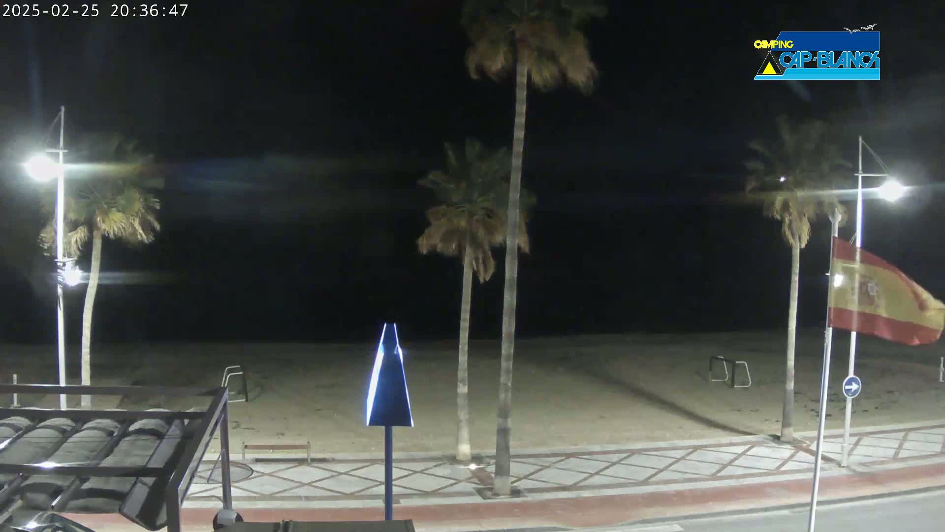 A nighttime beach scene shows palm trees swaying gently in the breeze along a paved walkway, with a Spanish flag waving near a streetlight.