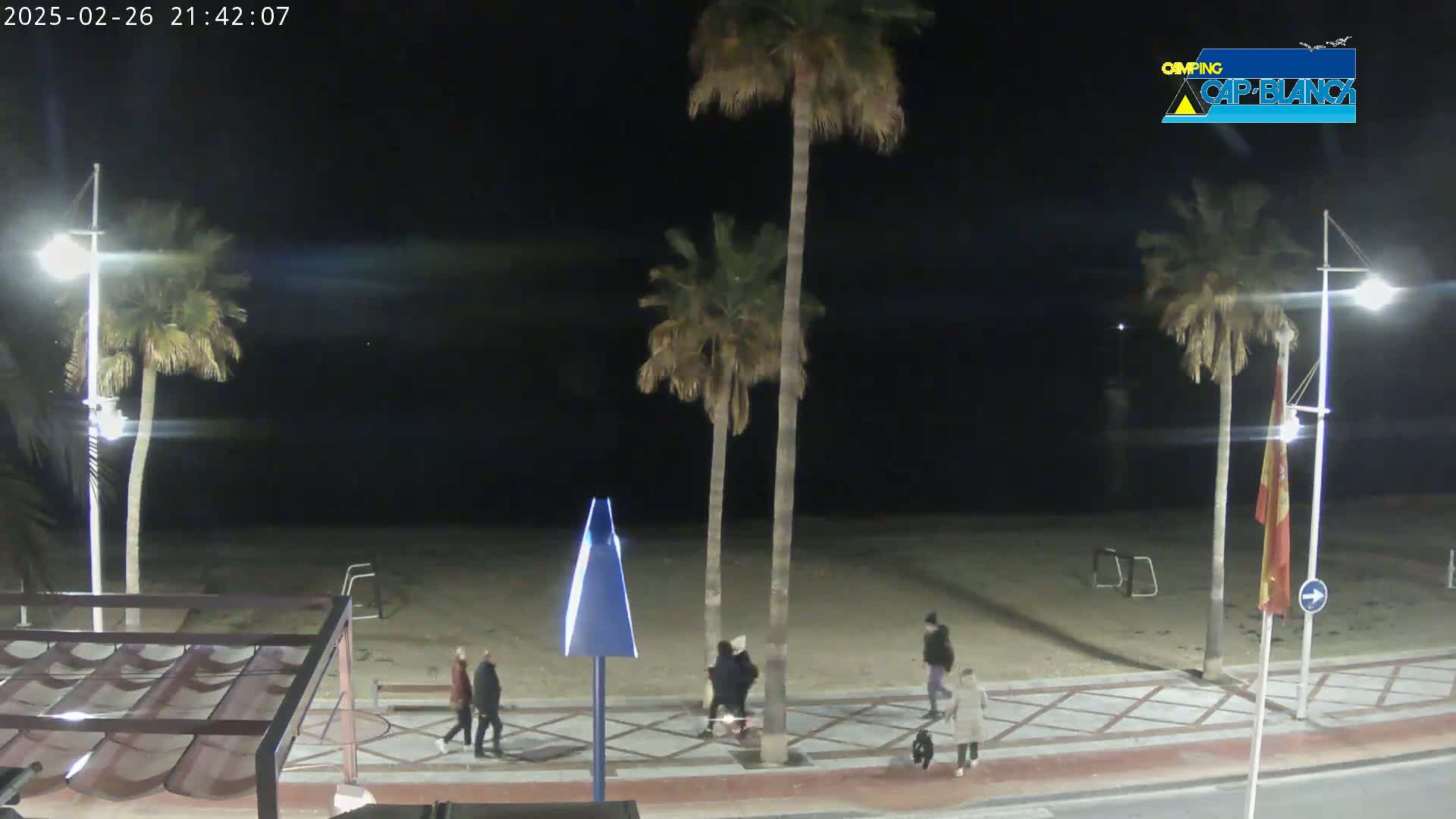 At night, several people walk along a beachfront boardwalk lined with palm trees under a dark sky.