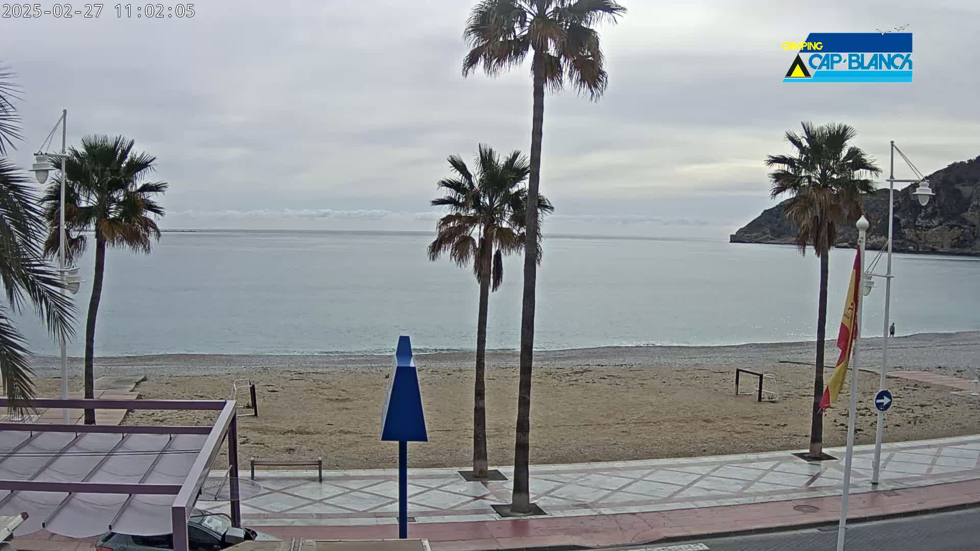 A beach with calm, light-blue water under an overcast sky is viewed from a beachfront promenade lined with palm trees.