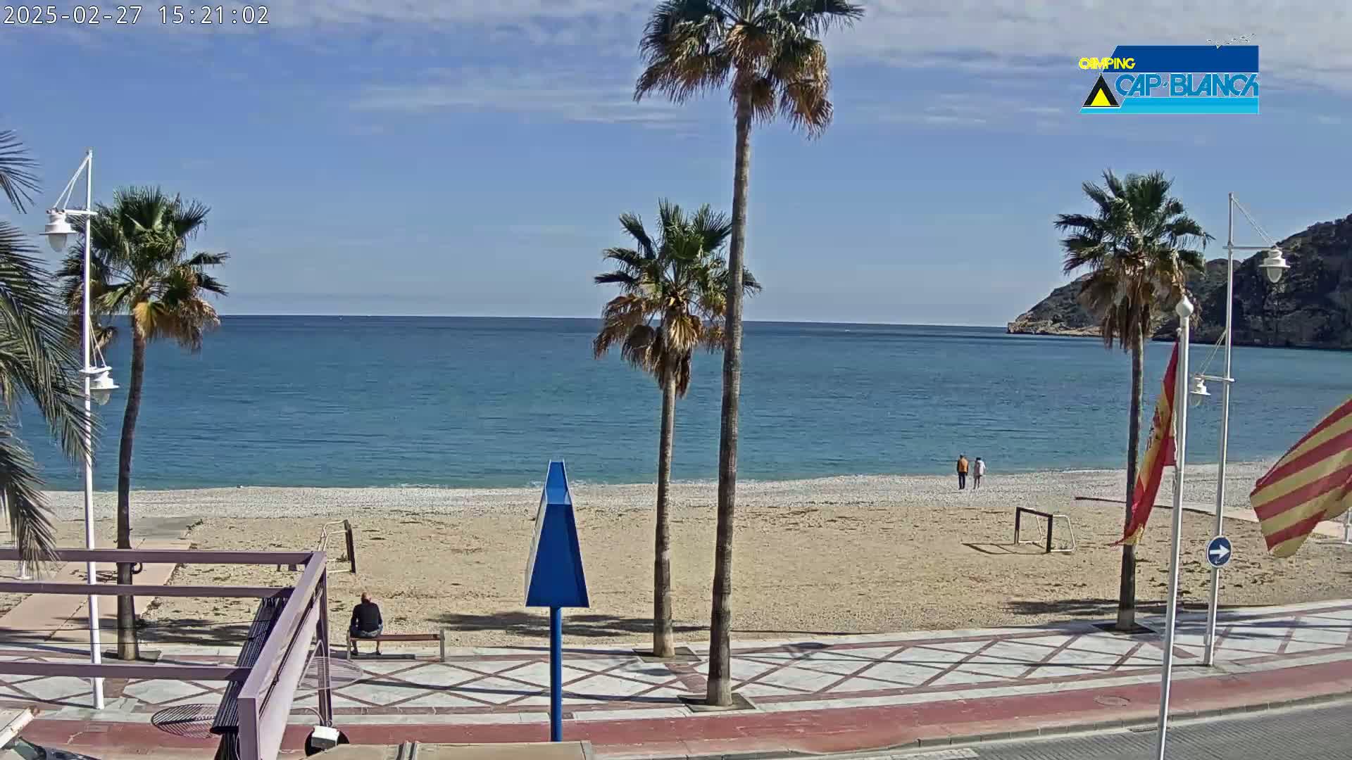 A sandy beach with palm trees and a calm blue sea under a sunny sky is seen from a promenade.