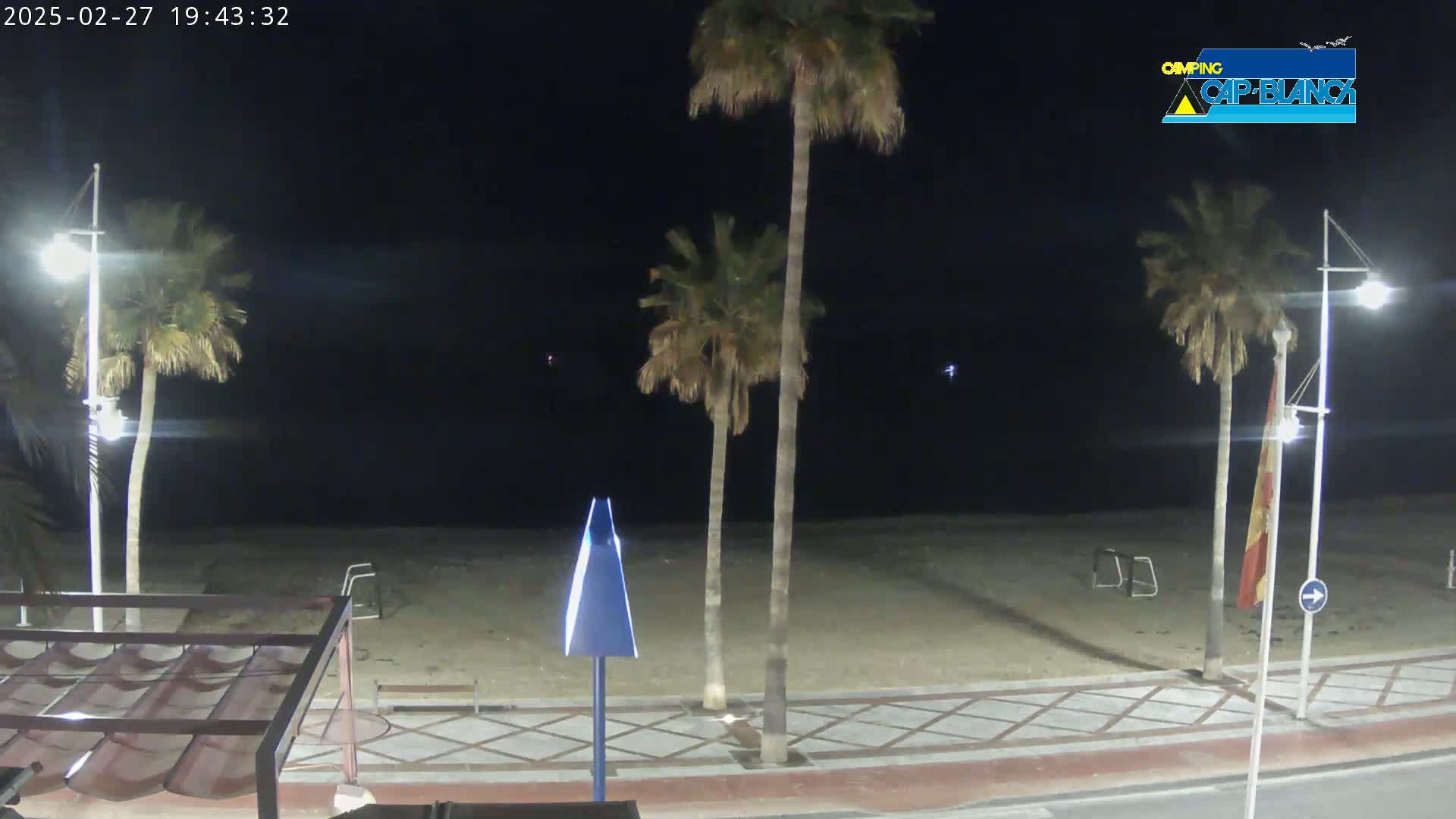 A nighttime view of a sandy beach with palm trees, streetlights, and a boardwalk under a clear, dark sky.