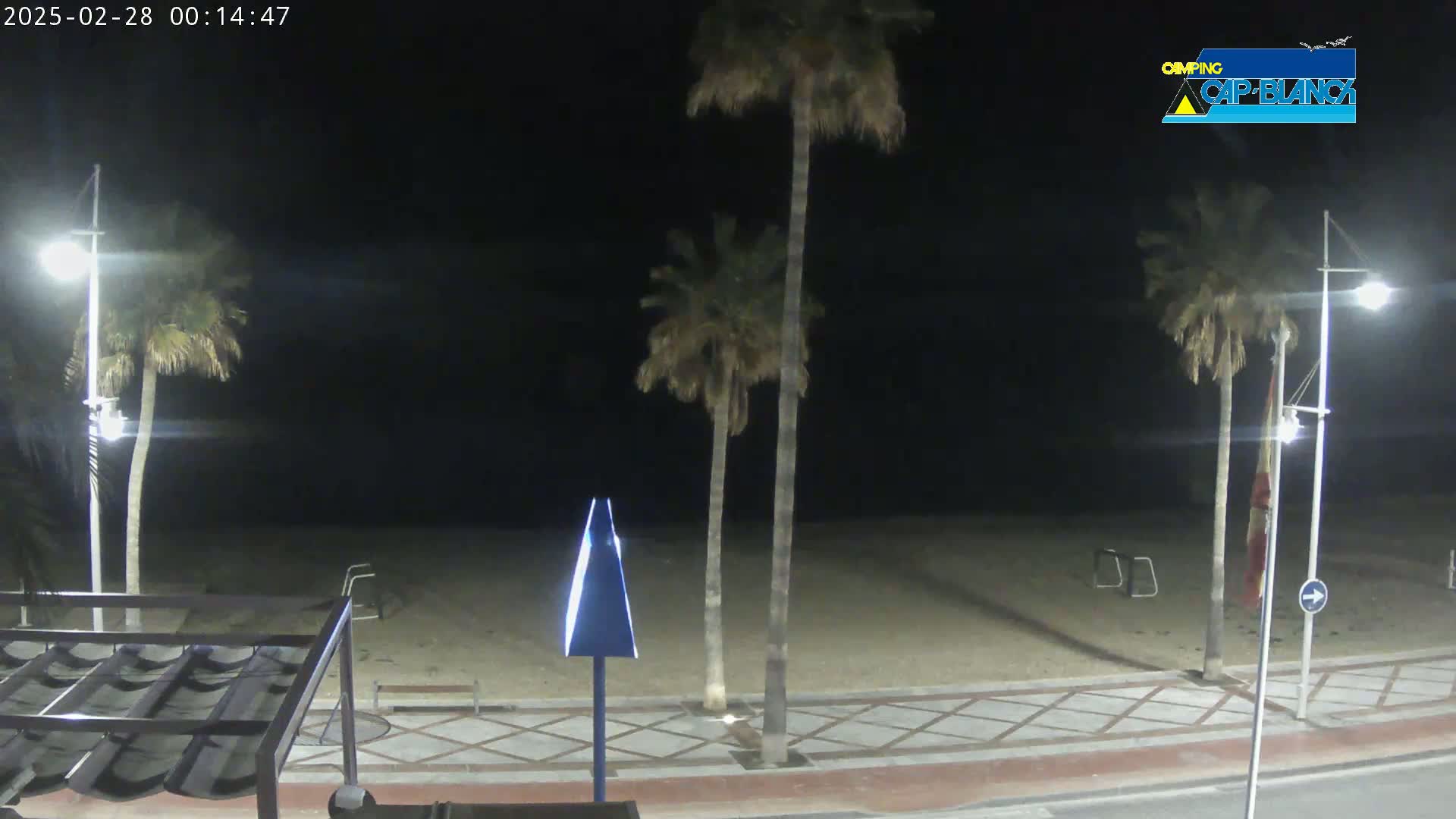 A nighttime view of a sandy beach with palm trees, streetlights, and a tiled walkway.