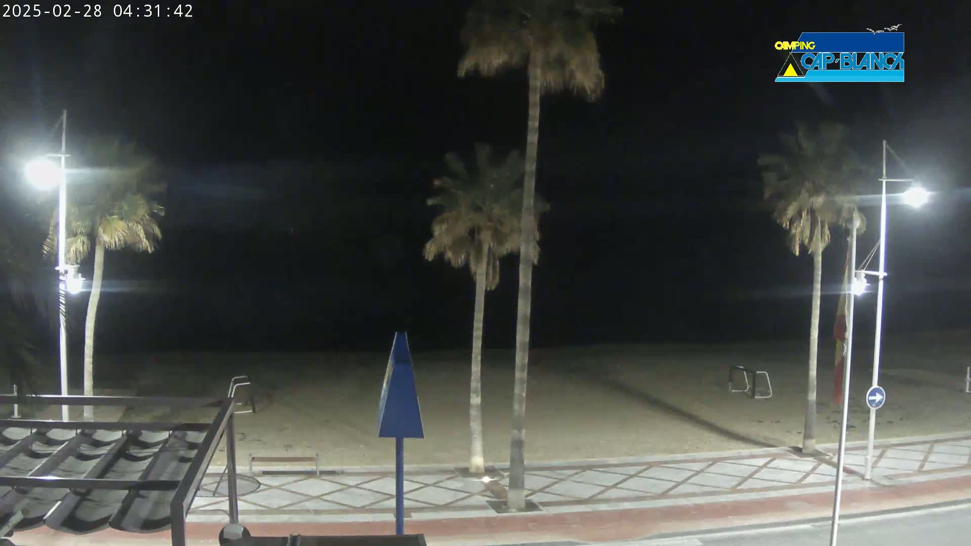 A nighttime view of a sandy beach, palm trees, streetlights, and a paved walkway under a dark sky.
