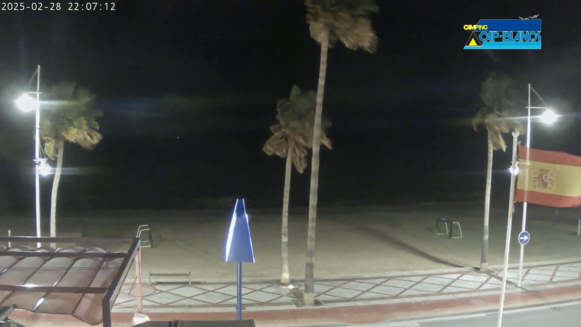 A nighttime beach scene with palm trees blowing in the wind, showing a sandy beach and tiled walkway.