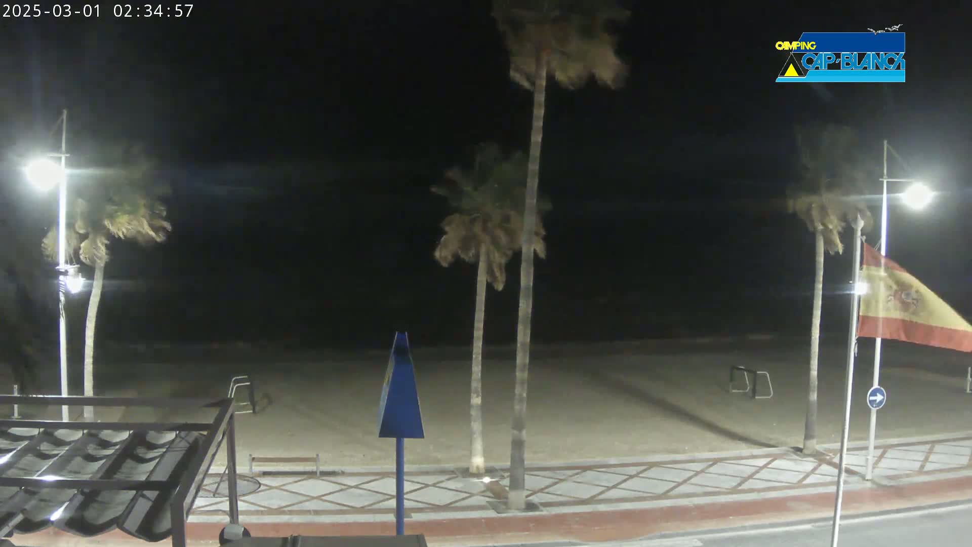 A nighttime view of a beach with palm trees swaying in the wind, streetlights illuminating a paved walkway, and a Spanish flag waving.