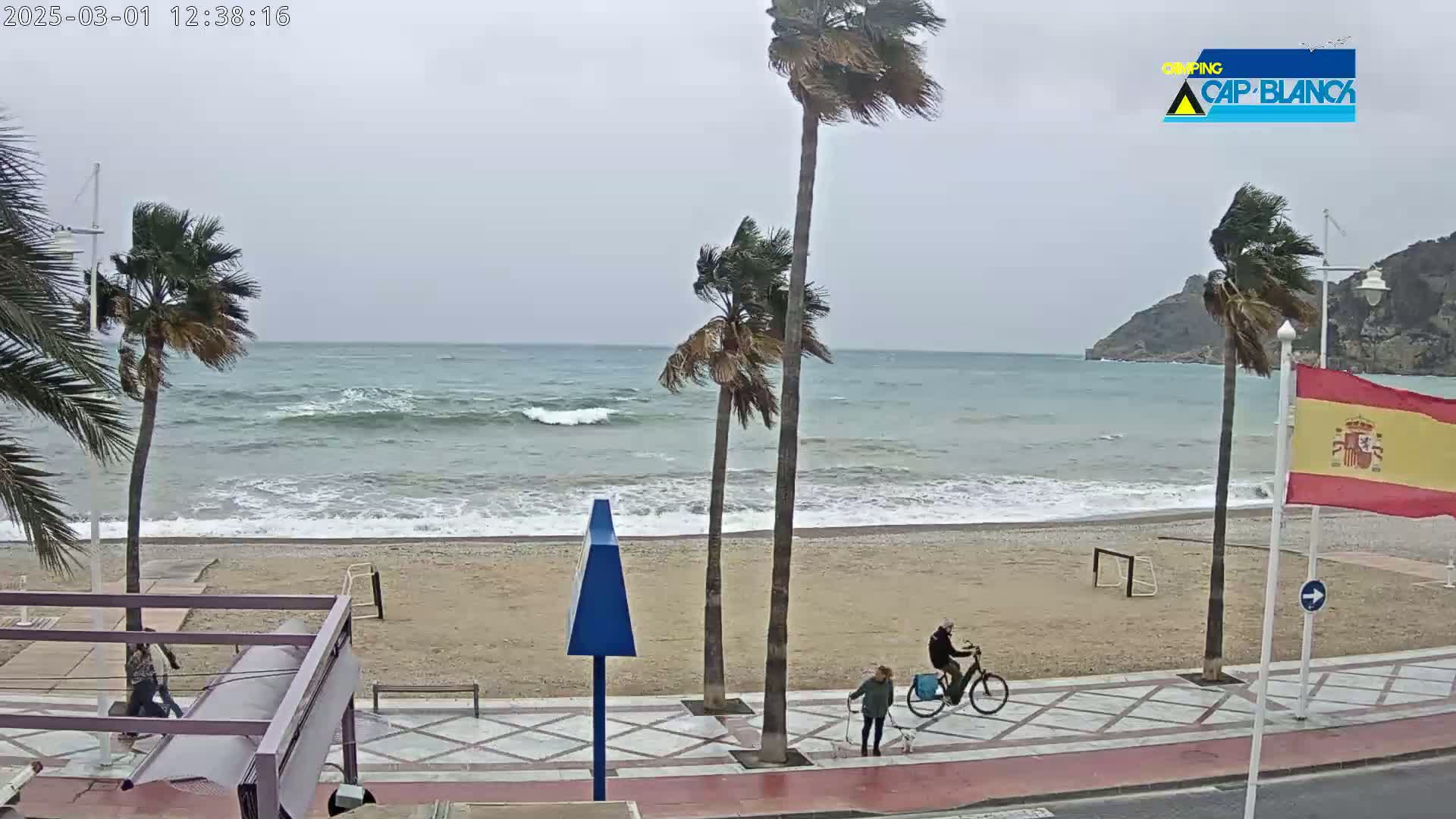 A windy, overcast day at a beach with palm trees, people walking and biking on a paved path next to a sandy beach with waves.