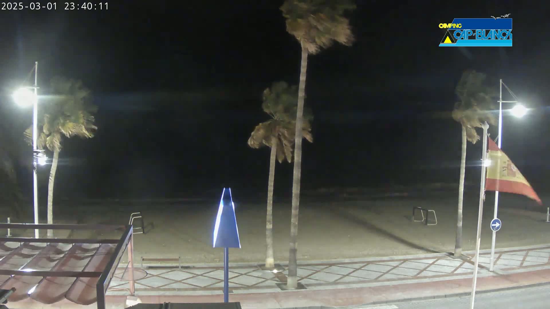 A nighttime beach scene with palm trees blowing in the wind, under a dark sky.