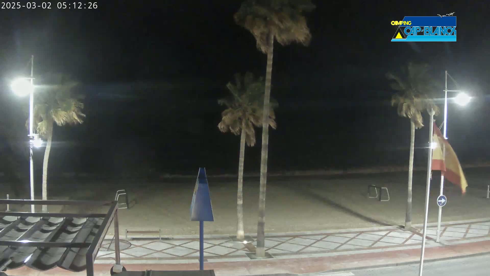 A nighttime view of a beach with palm trees blowing in the wind, under a dark sky.