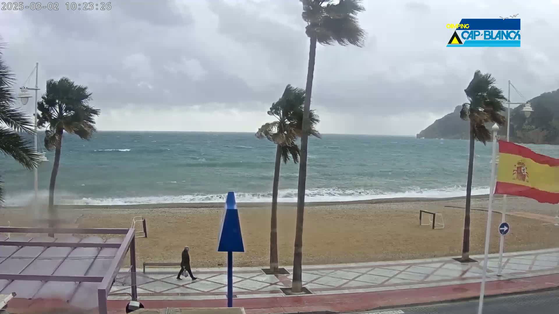 A windy, overcast day at a beach shows a person walking along a boardwalk near palm trees and a choppy ocean.