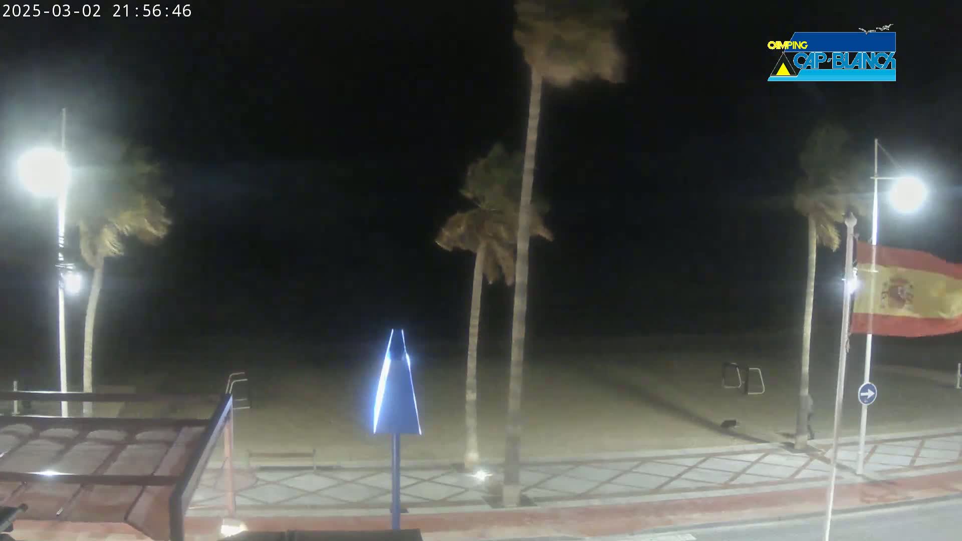 A nighttime beach scene shows palm trees swaying in the wind, illuminated by streetlights, with a sandy beach and paved walkway.