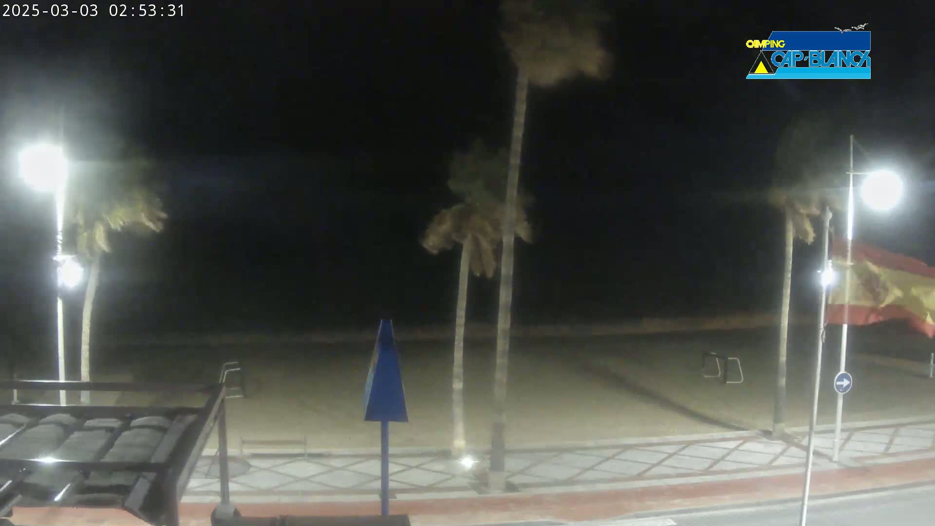 A nighttime beach scene shows palm trees swaying in the wind, under bright streetlights, with a sandy beach and paved walkway.