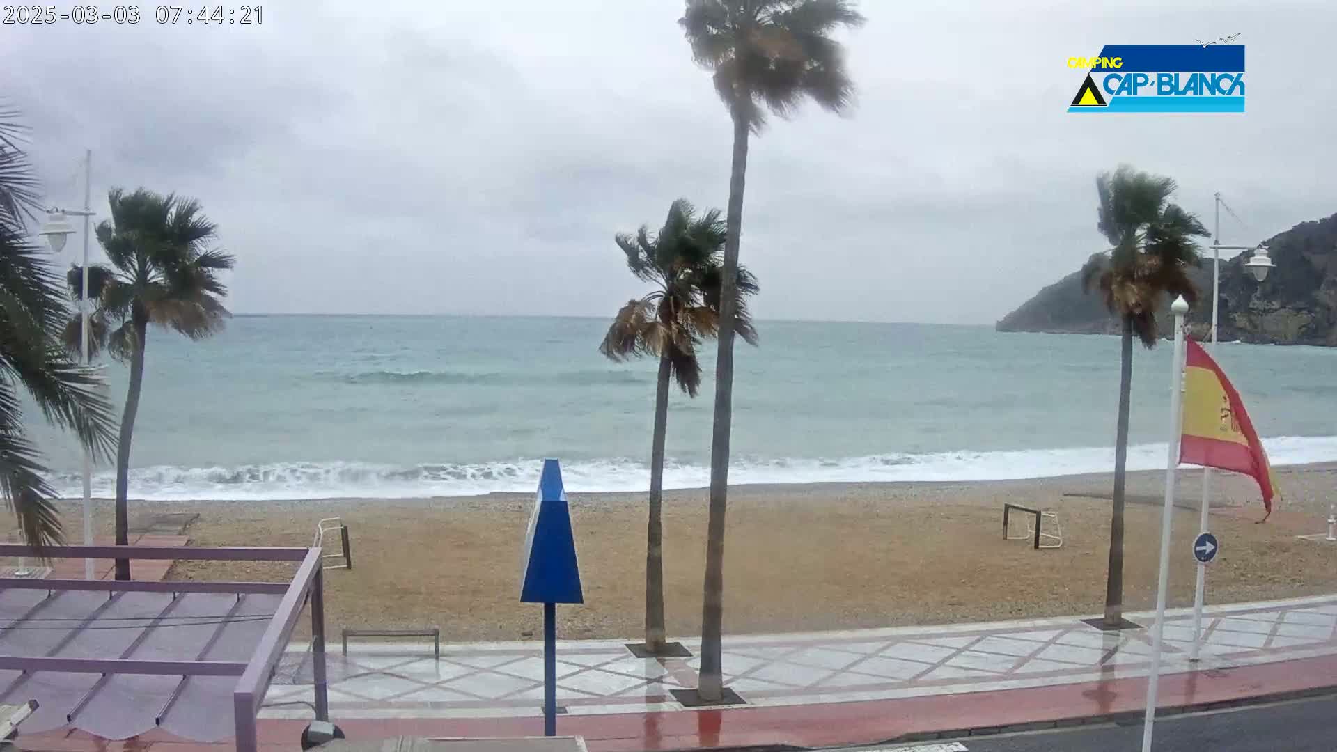 A beach with palm trees blowing in the wind under an overcast sky, with waves breaking on the shore.