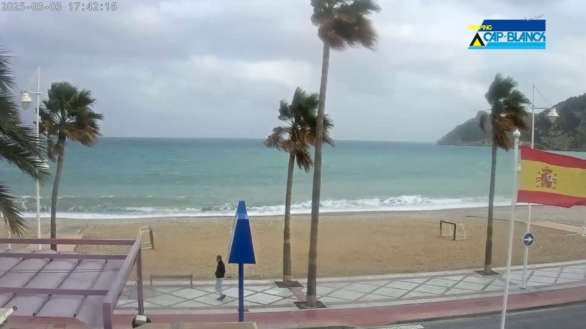 A windy day on a sandy beach shows palm trees bending in the breeze, a person walking on a paved walkway, and a calm sea with small waves.