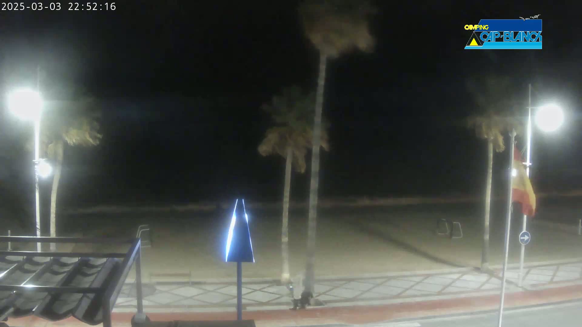 At night, a windy beach scene shows palm trees swaying near a paved walkway, with a person near two of the trees.