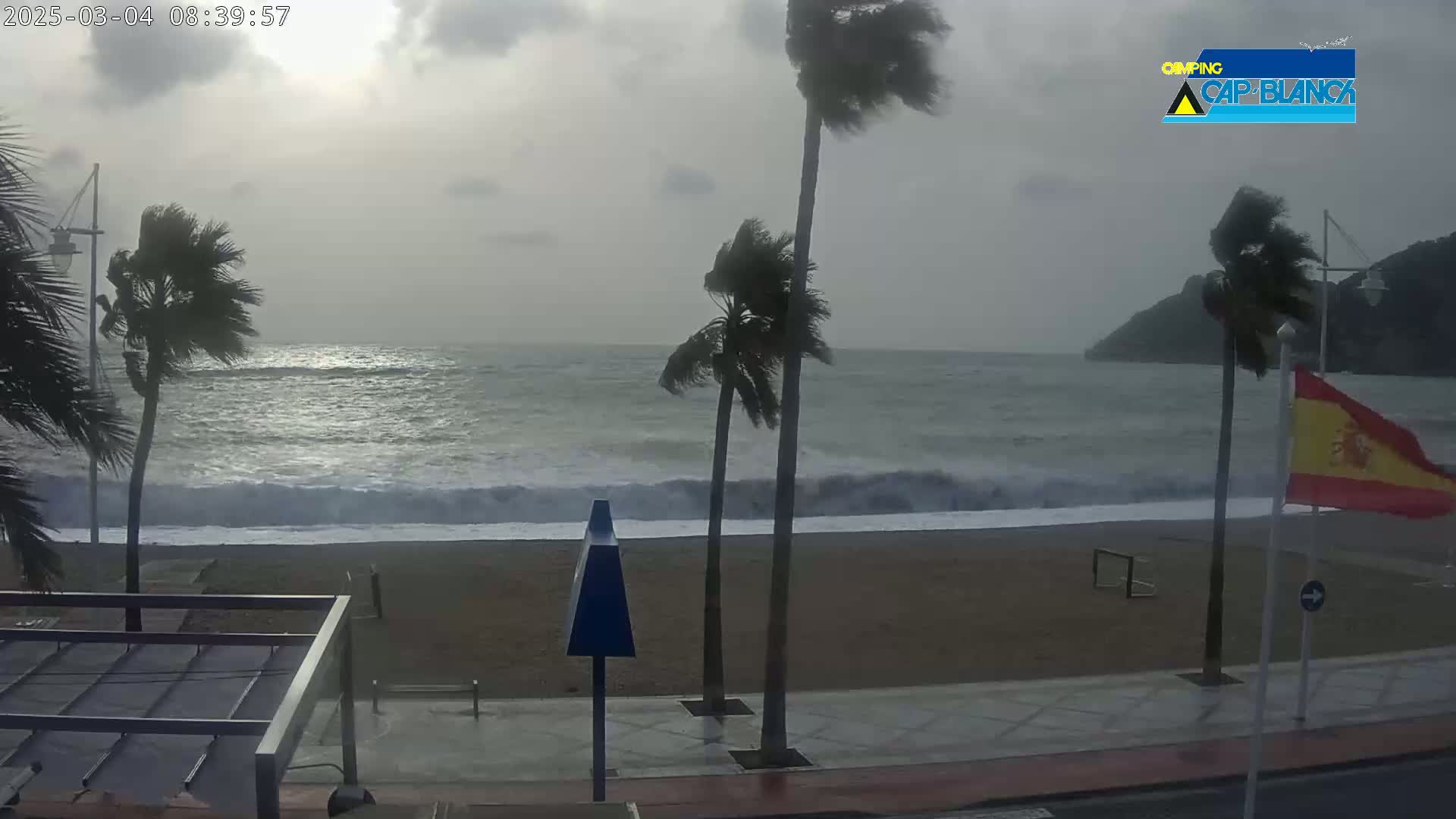A windy, overcast day shows palm trees bending in the wind on a beach with moderate waves crashing on the shore.
