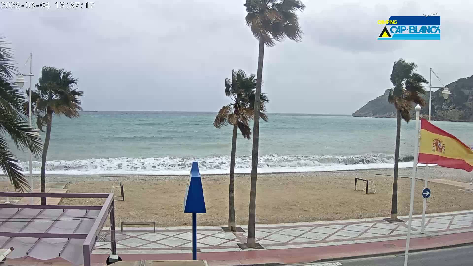 A windy, overcast day at a beach shows palm trees bending in the wind, waves crashing on the shore, and a sandy beach with a paved walkway.