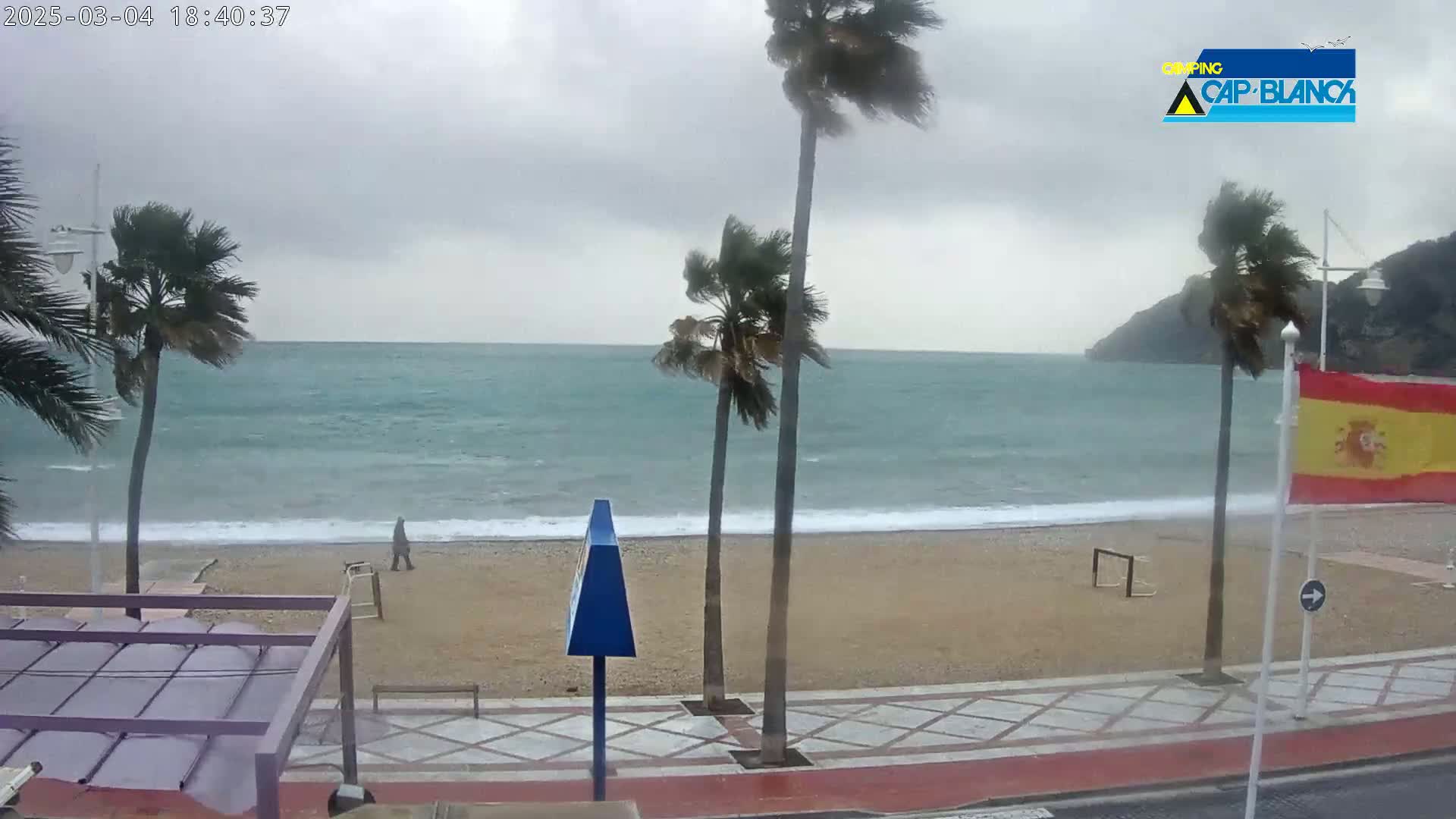 A windy, overcast day at a beach shows palm trees bending in the wind, a person walking on a sandy beach, and choppy ocean waves.