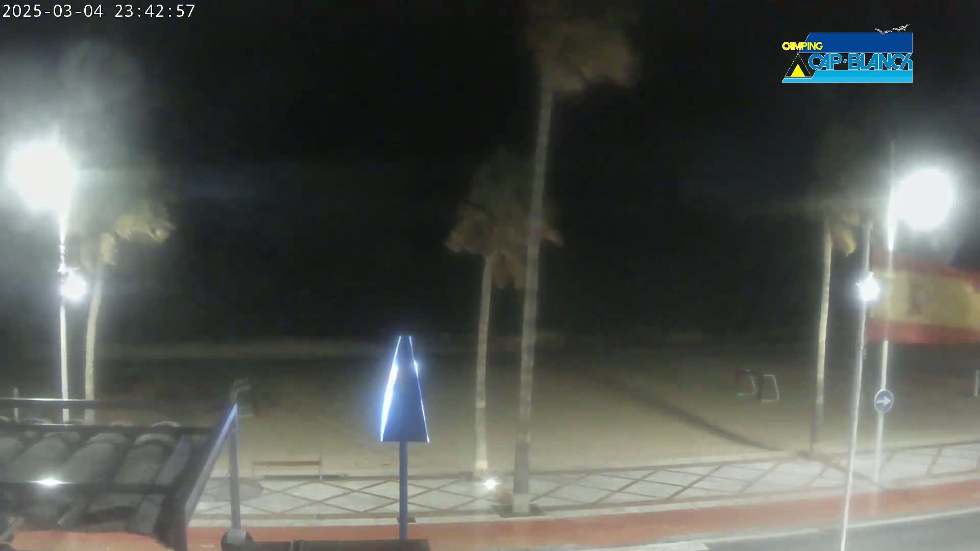 A nighttime view of a sandy beachfront area with palm trees swaying in the wind, illuminated by streetlights.
