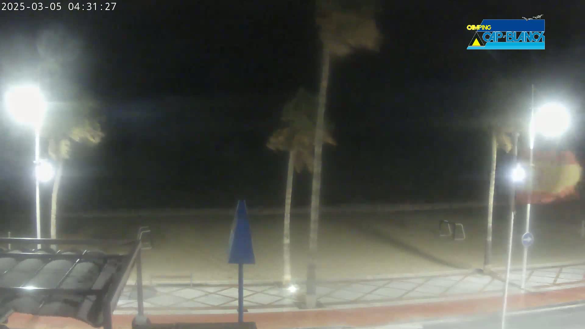 A nighttime beach scene shows palm trees bending in the wind, illuminated by streetlights, with a sandy beach and paved walkway visible.