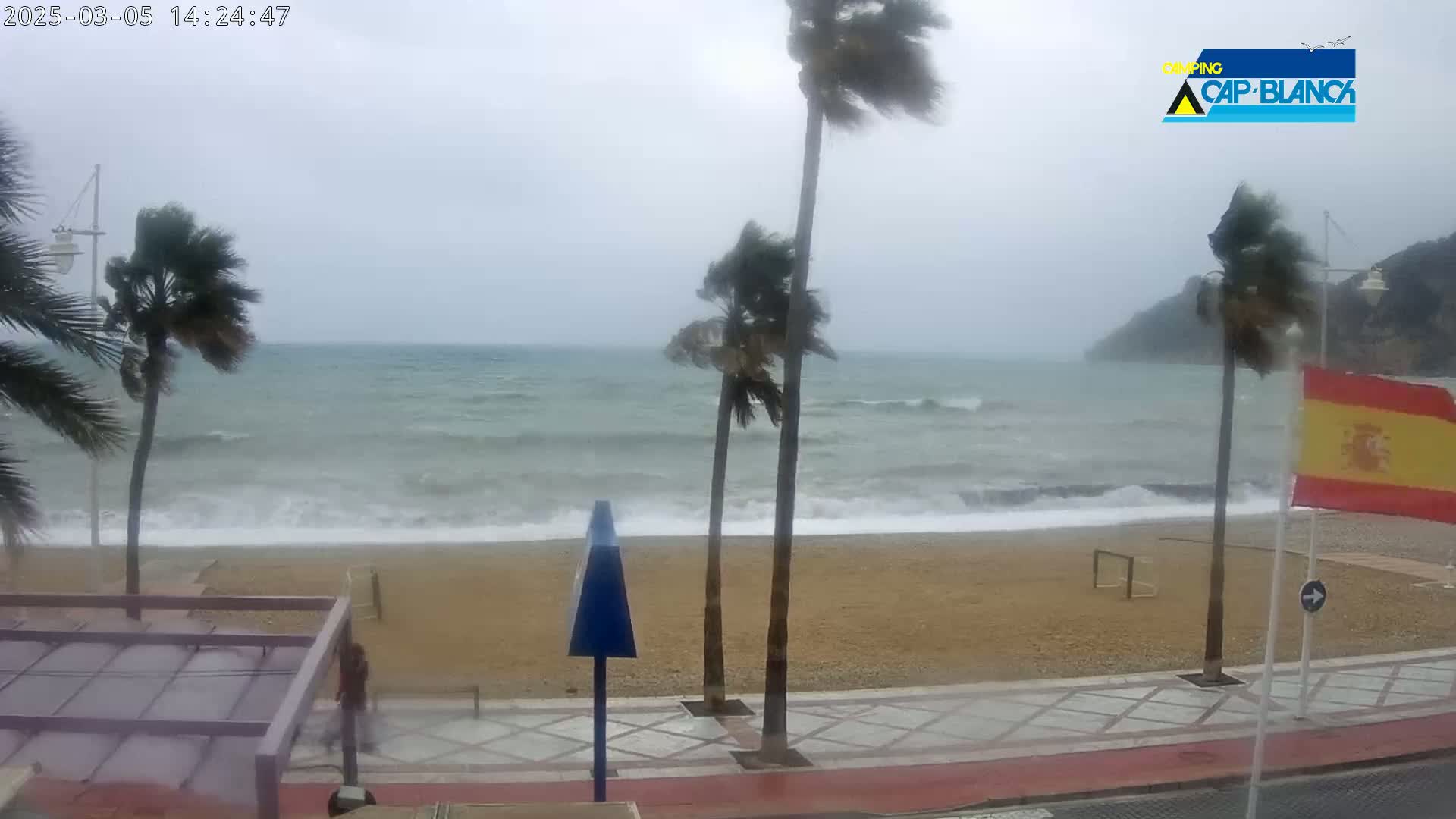 A windy, overcast day at a beach shows palm trees bending in the wind, waves crashing on the shore, and a few people walking along a paved walkway.