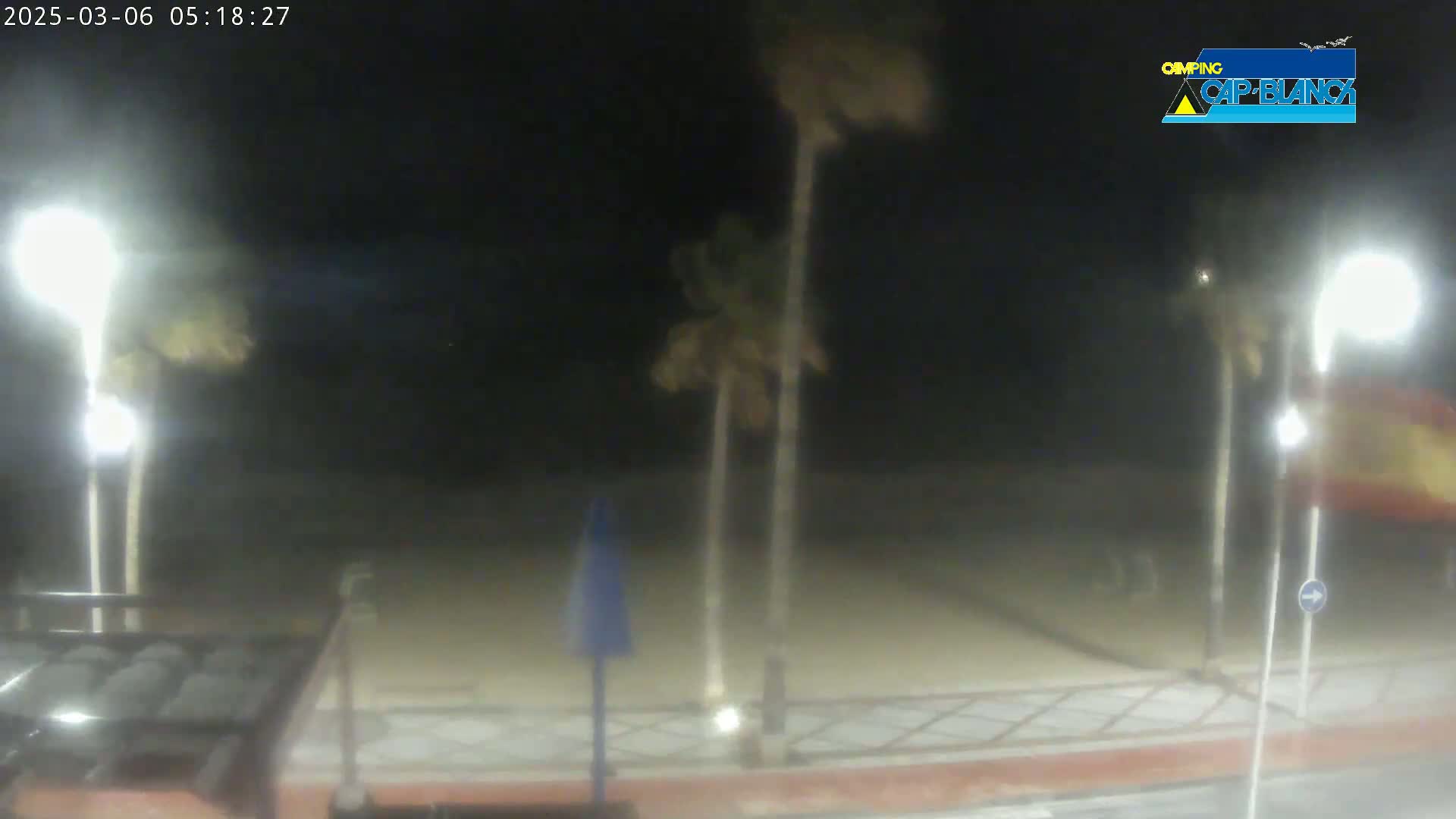 At night, under windy conditions, palm trees sway near a brightly lit paved area.