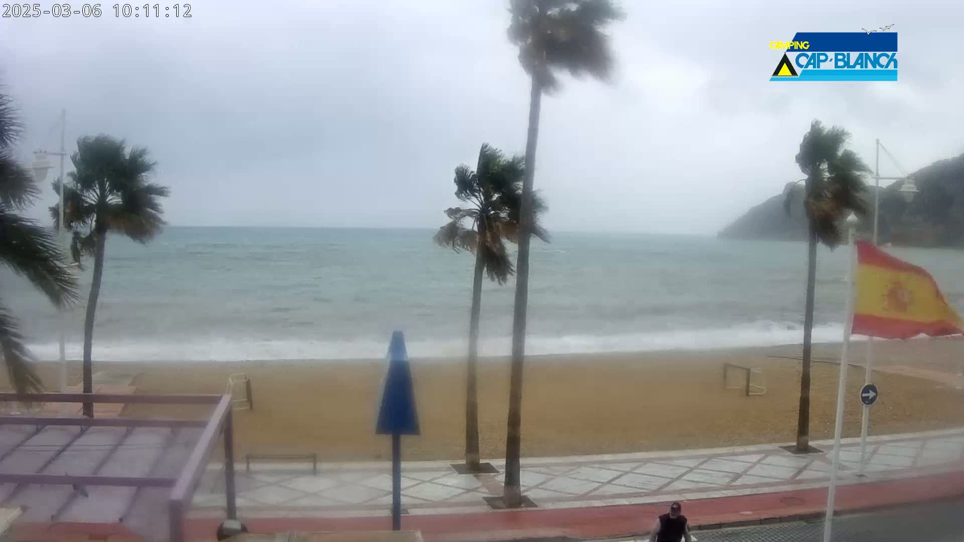 A windy, overcast day at a beach shows palm trees bending in the wind, waves crashing on the shore, and a person walking along a paved walkway.