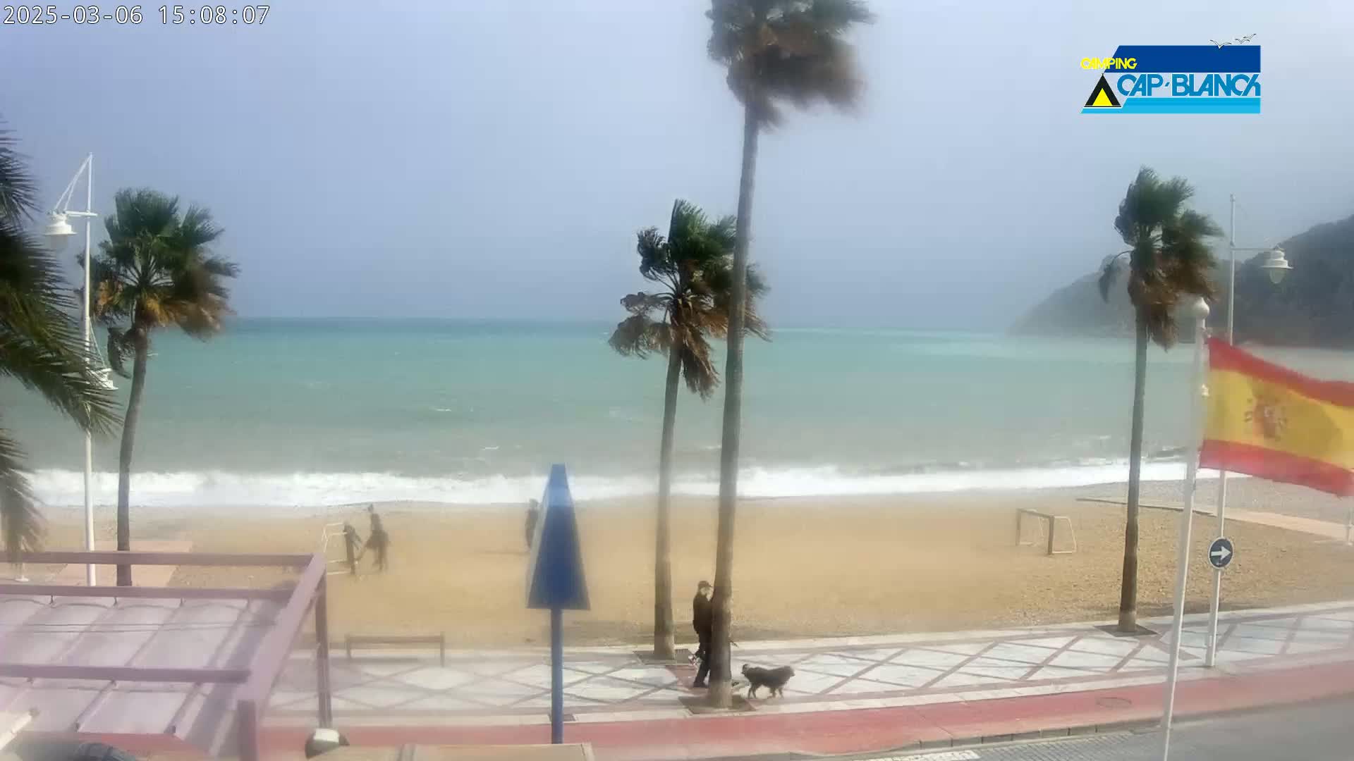 A windy beach scene shows palm trees bending in the breeze, waves lapping the shore, and two people walking a dog along a paved walkway.