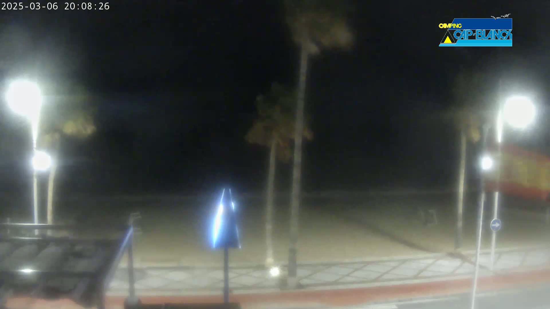 A nighttime view of a beach area with palm trees illuminated by streetlights under windy conditions.