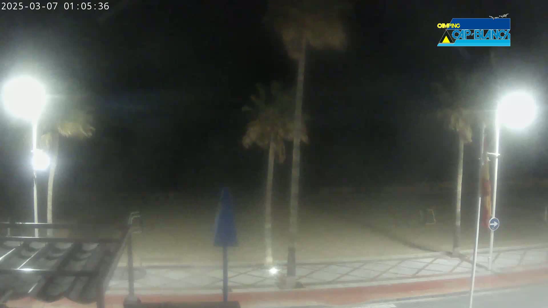 A nighttime view of a beach area shows palm trees swaying in the wind under bright lights, with a paved walkway and street visible.