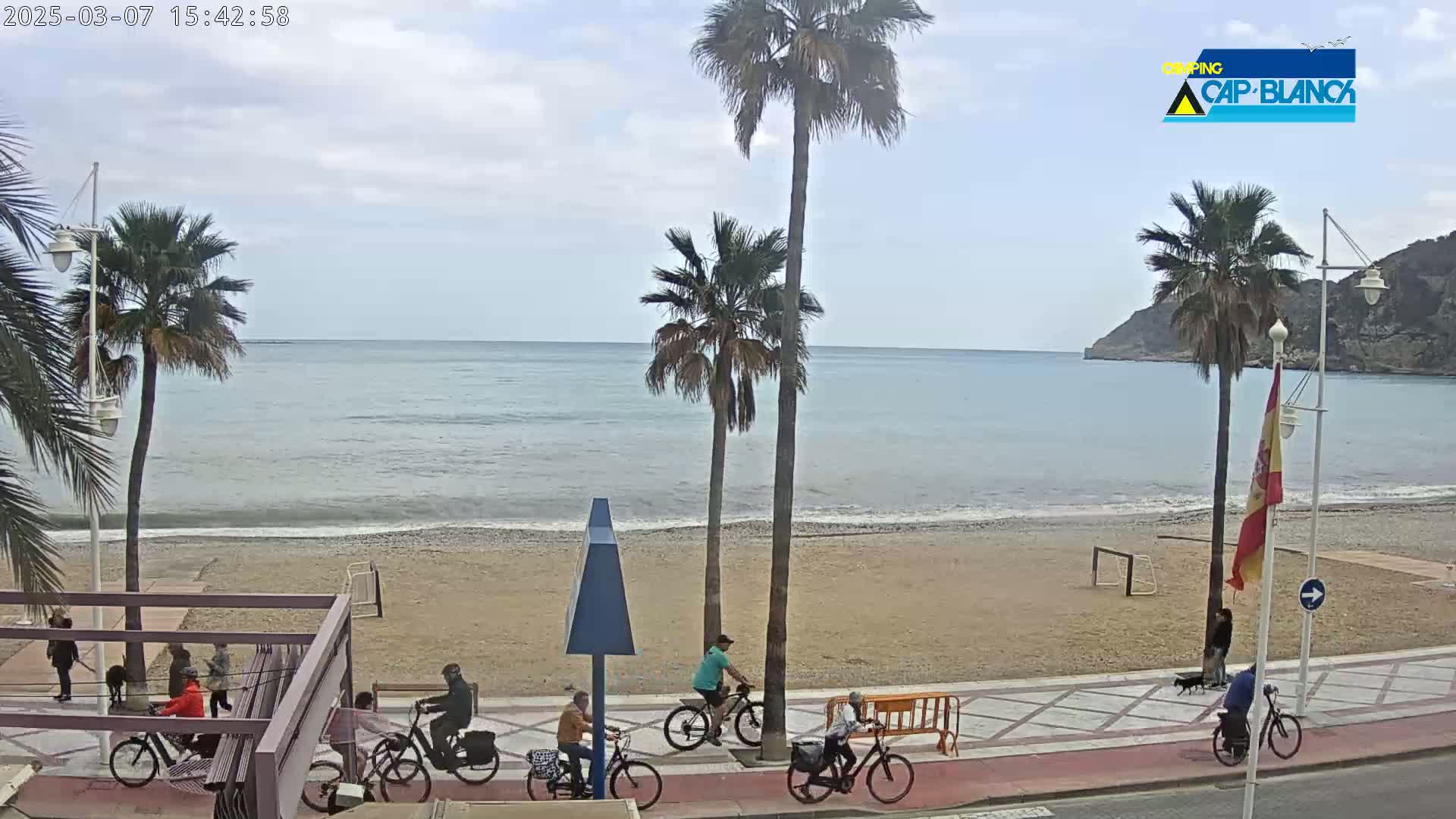 A sandy beach with palm trees, several people riding bicycles, and a calm sea under a cloudy sky.