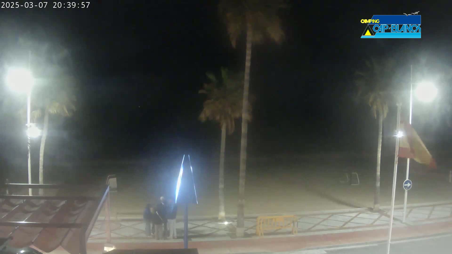 At night, under hazy conditions, three people stand near palm trees on a sandy beachfront promenade with streetlights illuminating the scene.