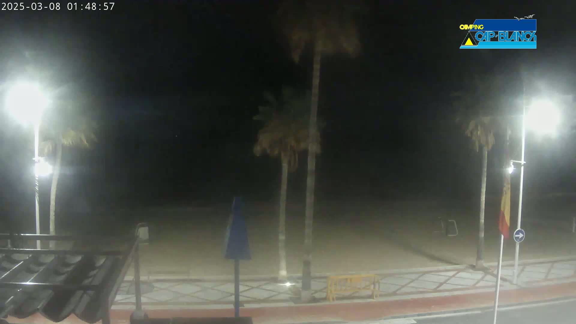A nighttime view of a sandy beach area with palm trees, streetlights, and a paved walkway.