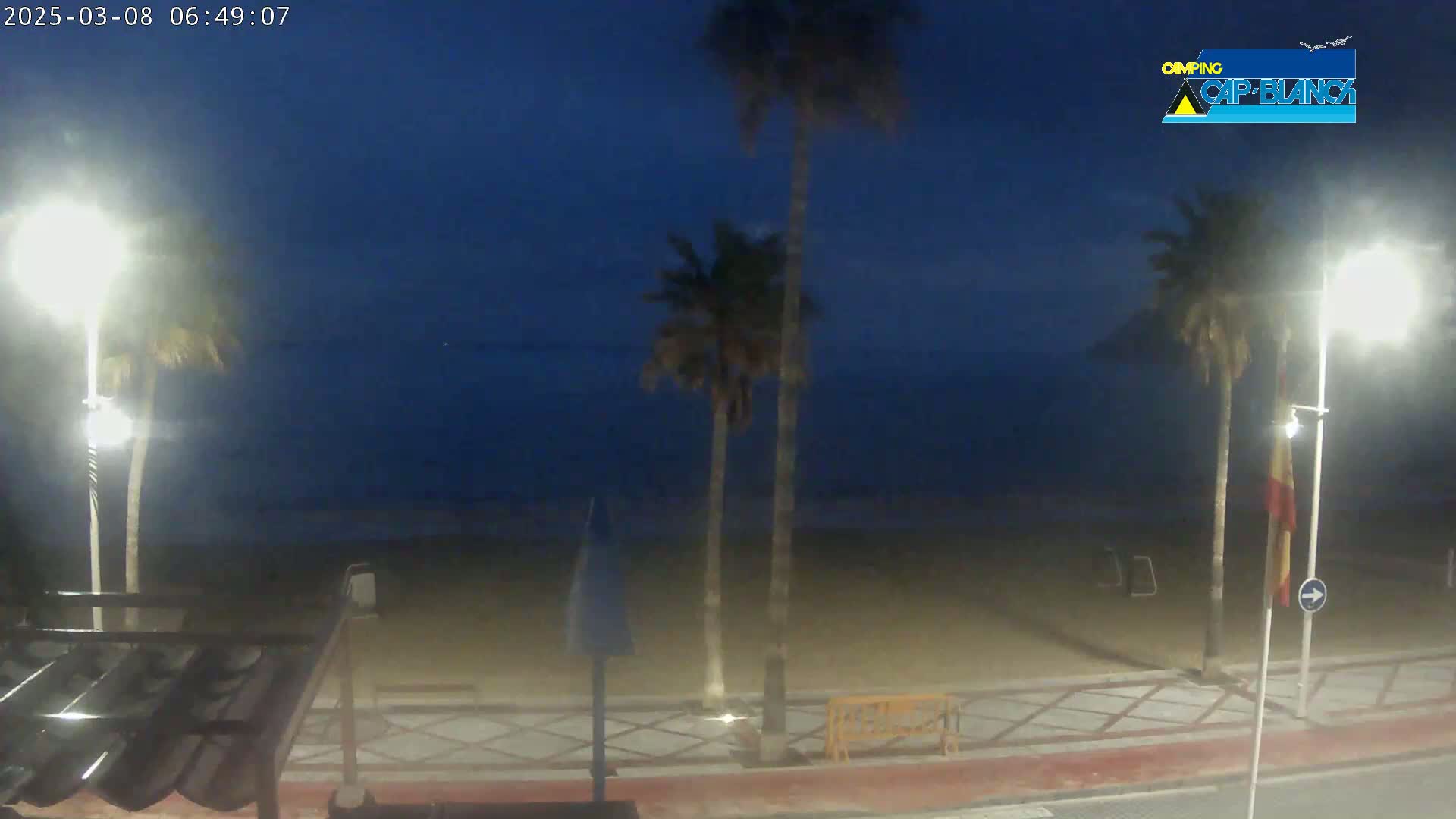 A dark, beachside scene at night shows palm trees lining a sandy beach and a calm ocean under a twilight sky.