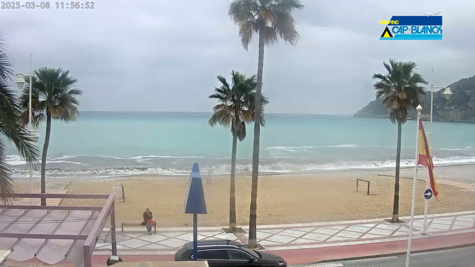 A sandy beach with palm trees and a calm, teal ocean under an overcast sky is seen from an elevated vantage point.
