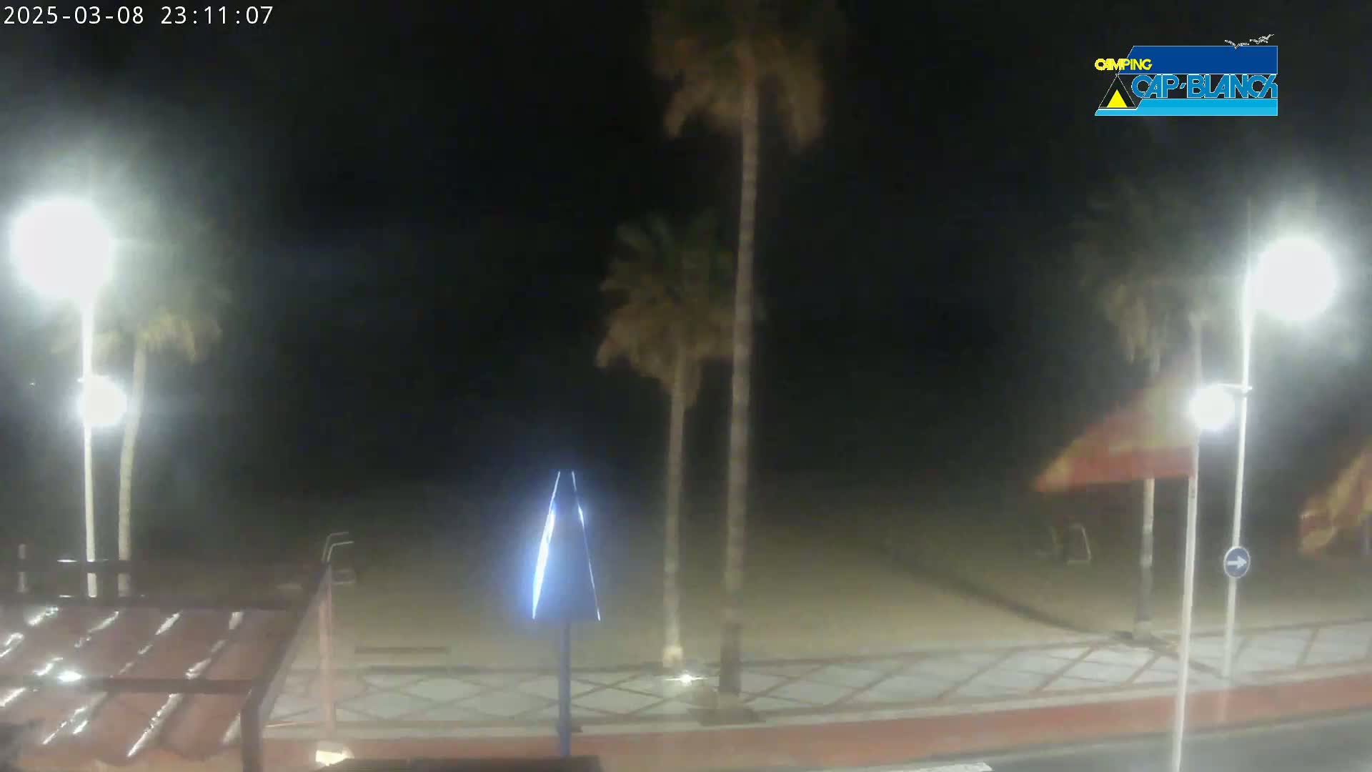A nighttime view of a beach with palm trees, streetlights, and a paved walkway under hazy or cloudy conditions.