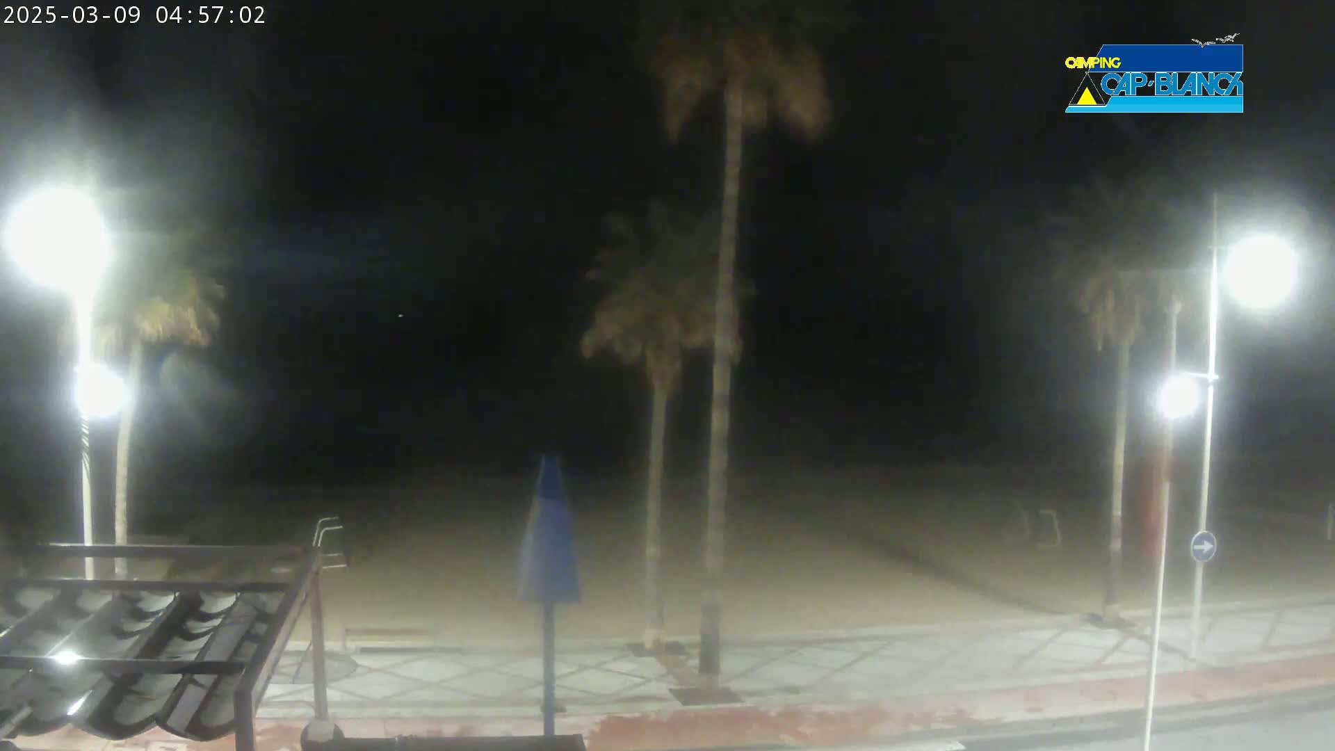 A nighttime view of a sandy beach with palm trees, streetlights, and a paved walkway, under hazy or foggy conditions.