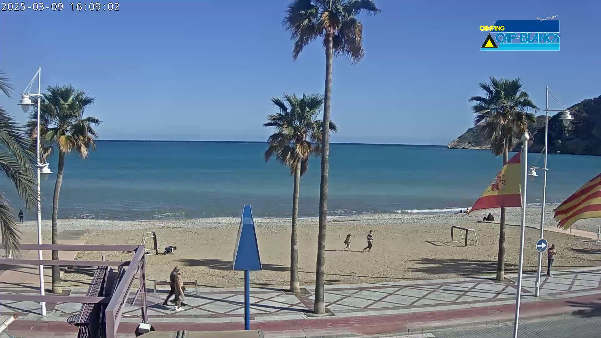 A sandy beach with palm trees and a calm, blue ocean under a clear blue sky.