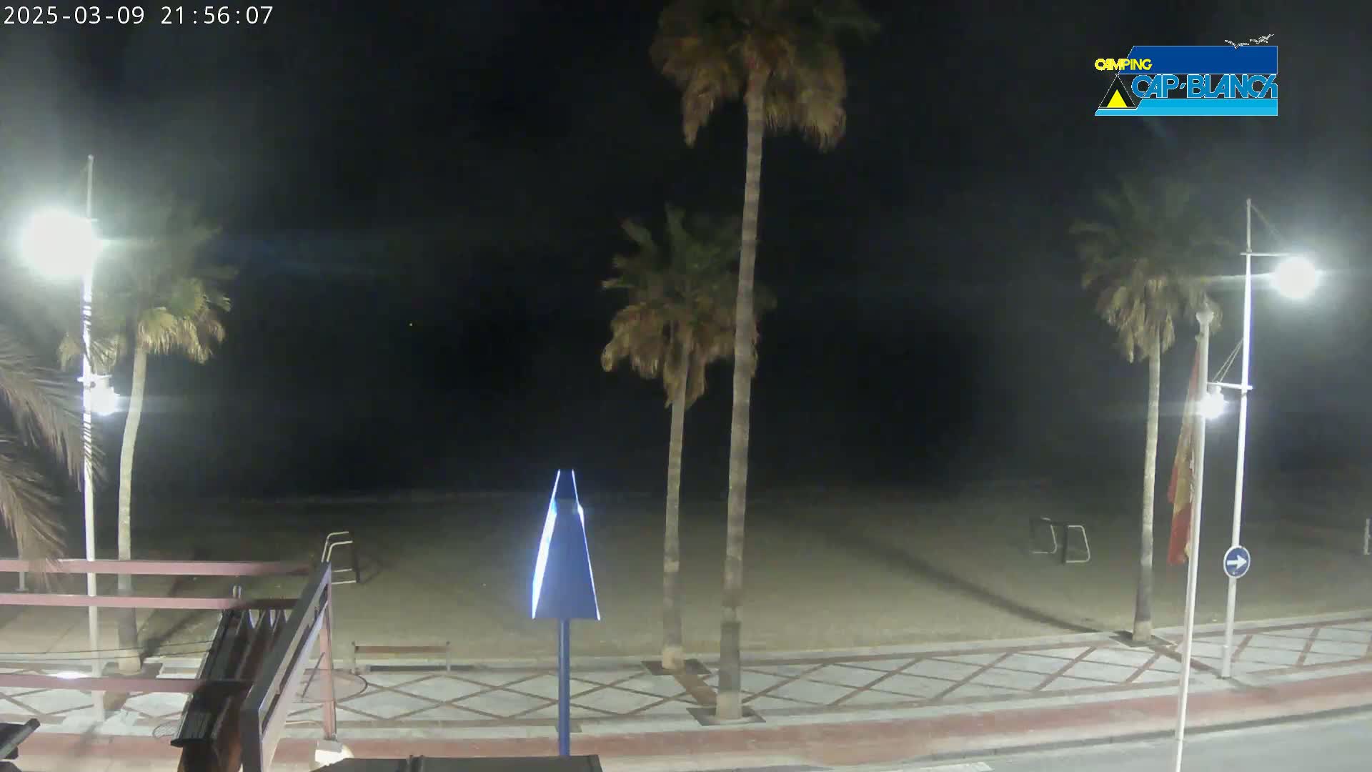At night, a dark sandy beach is visible beyond a paved walkway lined with palm trees and streetlights.