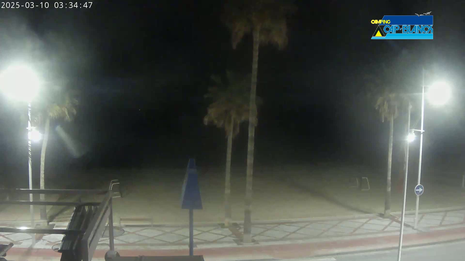 A nighttime view of a sandy beach area with palm trees and streetlights under hazy conditions.