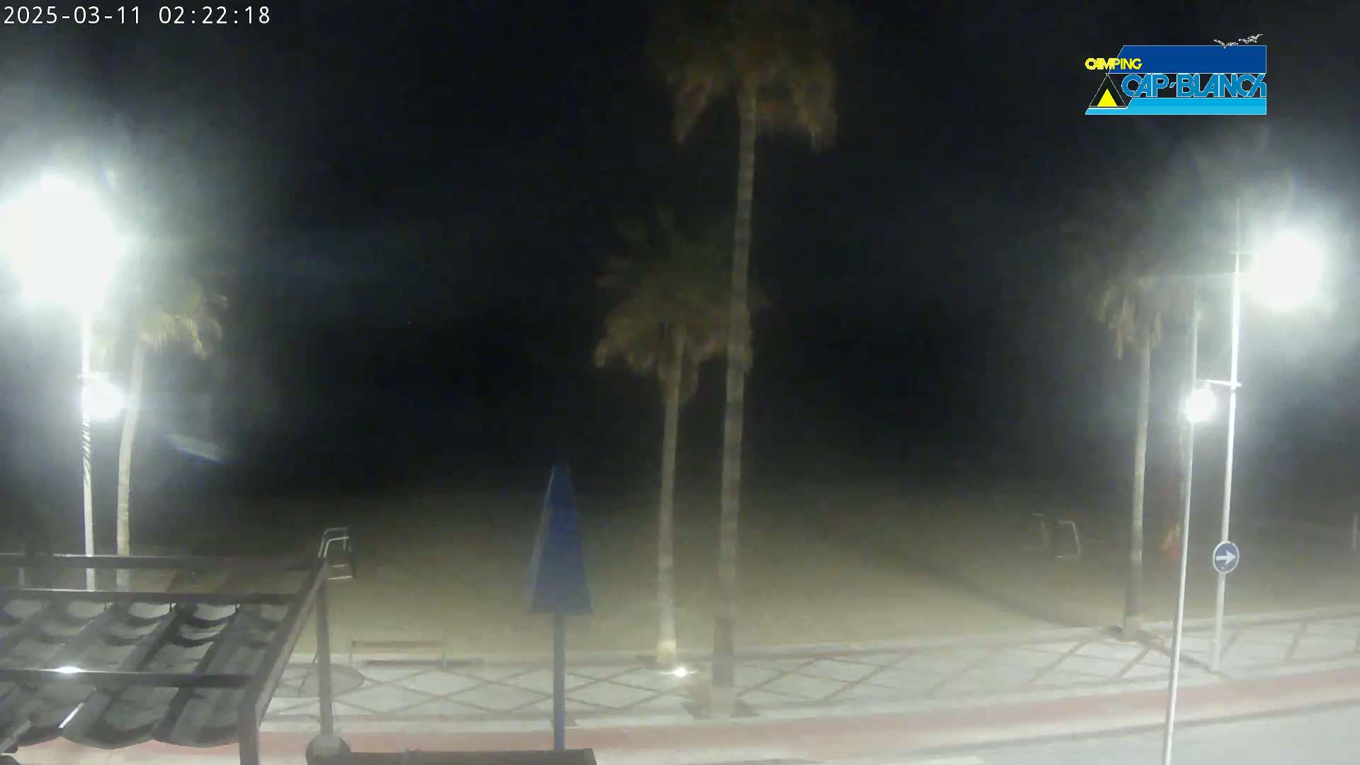 A nighttime view of a beach with palm trees and streetlights, under hazy or foggy conditions.