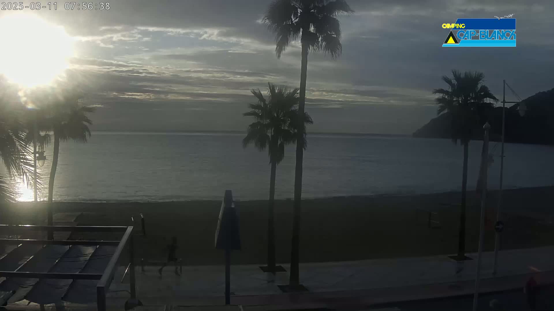 A calm, sunlit ocean beach scene is visible, featuring palm trees lining a paved walkway beside a sandy beach, with a few people walking along the shore.